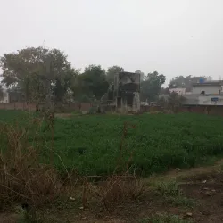 Hoshiarpur Fort - Hoshiarpur