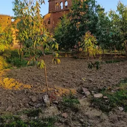 Hoshiarpur Fort - Hoshiarpur