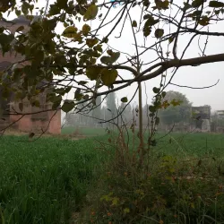 Hoshiarpur Fort - Hoshiarpur