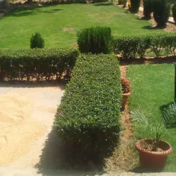 Panj Peer Shrine - Hoshiarpur