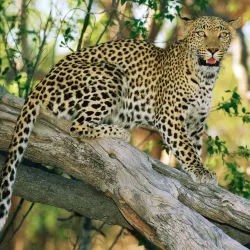 Takhni-Rehmapur Wildlife Sanctuary - Hoshiarpur