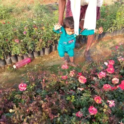 Hosur Botanical Garden - Hosur
