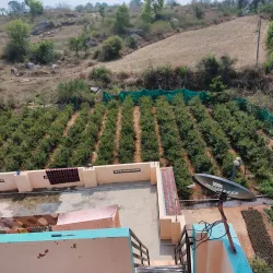 Hosur Botanical Garden - Hosur