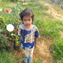 Hosur Botanical Garden - Hosur