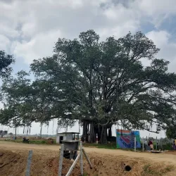 Kelavarapalli Reservoir - Hosur