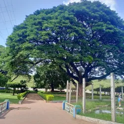 Krishnagiri Dam - Hosur