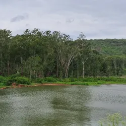 Krishnagiri Wildlife Sanctuary - Hosur