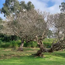 Krishnagiri Wildlife Sanctuary - Hosur