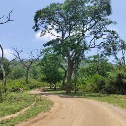 Krishnagiri Wildlife Sanctuary - Hosur