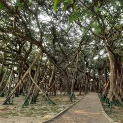 Shibpur Botanical Garden (Acharya Jagadish Chandra Bose Indian Botanical Garden) - Howrah (Haora)