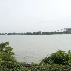 Shibpur Botanical Garden (Acharya Jagadish Chandra Bose Indian Botanical Garden) - Howrah (Haora)