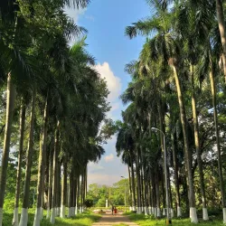 Shibpur Botanical Garden (Acharya Jagadish Chandra Bose Indian Botanical Garden) - Howrah (Haora)