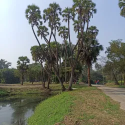 Shibpur Botanical Garden (Acharya Jagadish Chandra Bose Indian Botanical Garden) - Howrah (Haora)
