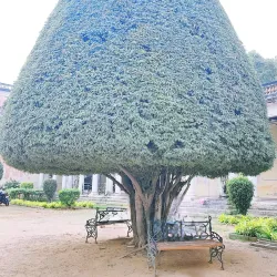 Chowmahalla Palace - Hyderabad