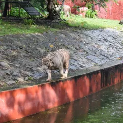 Nehru Zoological Park - Hyderabad