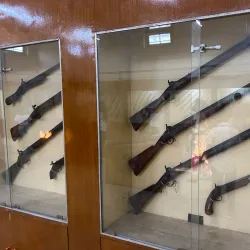 Indore Museum (Central Museum) - Indore