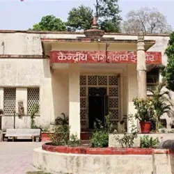 Indore Museum (Central Museum) - Indore