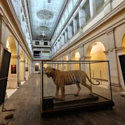 Lal Bagh Palace - Indore