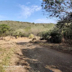 Ralamandal Wildlife Sanctuary - Indore