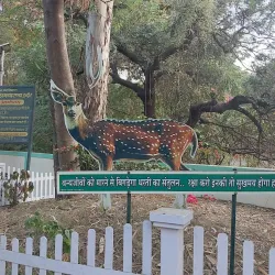 Ralamandal Wildlife Sanctuary - Indore