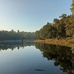 Kanha National Park - Jabalpur