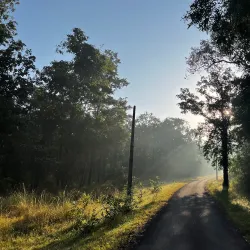 Kanha National Park - Jabalpur