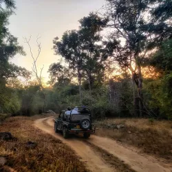 Kanha National Park - Jabalpur