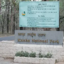 Kanha National Park - Jabalpur