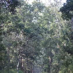 Kanha National Park - Jabalpur