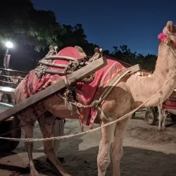 Chokhi Dhani - Jaipur