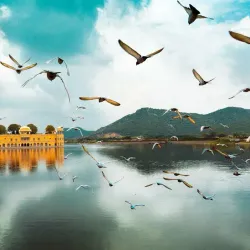 Jal Mahal - Jaipur