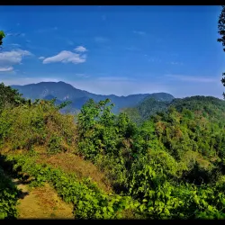 Buxa Tiger Reserve - Jalpaiguri