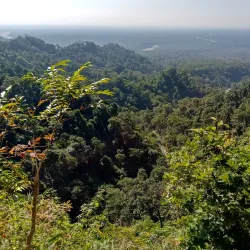 Buxa Tiger Reserve - Jalpaiguri