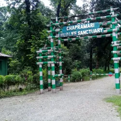 Chapramari Wildlife Sanctuary - Jalpaiguri