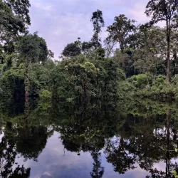 Chapramari Wildlife Sanctuary - Jalpaiguri