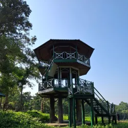 Chapramari Wildlife Sanctuary - Jalpaiguri