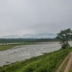 Chapramari Wildlife Sanctuary - Jalpaiguri