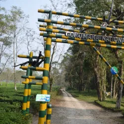 Gorumara National Park - Jalpaiguri