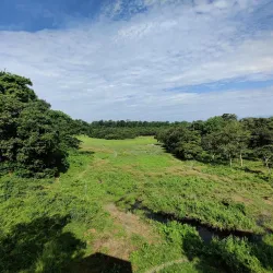 Gorumara National Park - Jalpaiguri