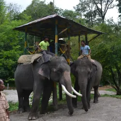 Gorumara National Park - Jalpaiguri