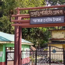 Gorumara National Park - Jalpaiguri