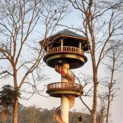 Gorumara National Park - Jalpaiguri