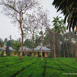 Gorumara National Park - Jalpaiguri