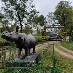 Gorumara National Park - Jalpaiguri