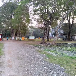 Jalpaiguri Museum - Jalpaiguri