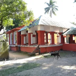Jalpaiguri Museum - Jalpaiguri