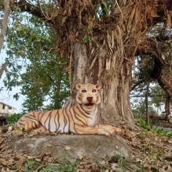 Jalpaiguri Town Park - Jalpaiguri