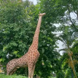Jalpaiguri Town Park - Jalpaiguri