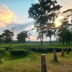Malbazar - Jalpaiguri
