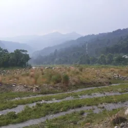 Tea Gardens of Dooars - Jalpaiguri